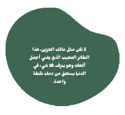 �����