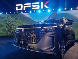 ������ ����� ������ dfsk ����