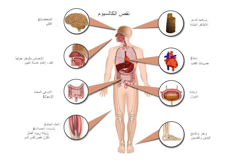 ������ ���� ������ �� ���� ������