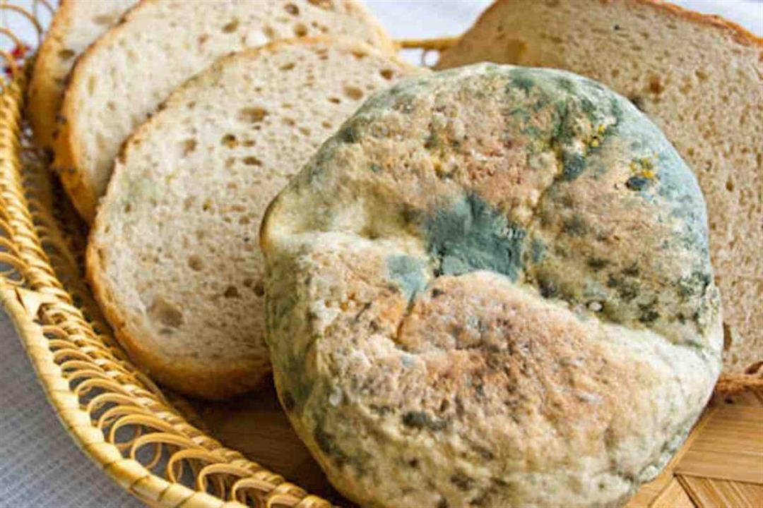 ������ ���� ������ �� ���� ������