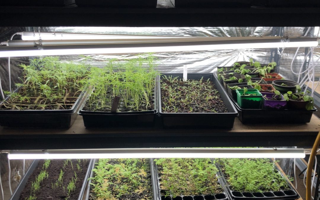 ������ ���� ������ �� ���� ������