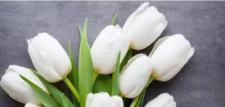 ������ ���� ������ �� ���� ������