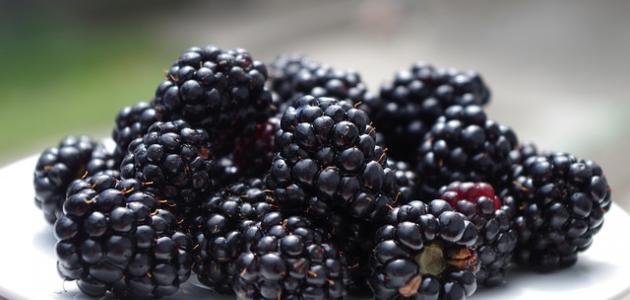 ������ ���� ������ �� ���� ������