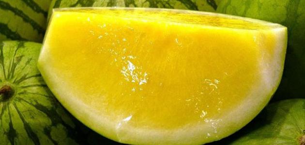 ������ ���� ������ �� ���� ������