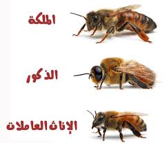 ������ ���� ������ �� ���� ������