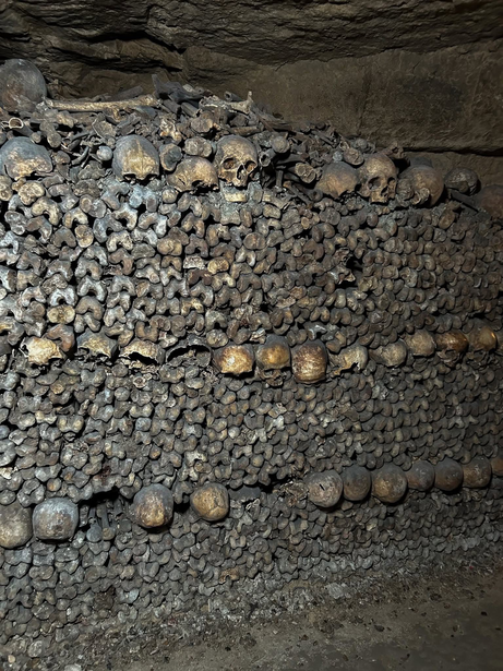 سراديب الموتى باريس