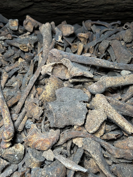سراديب الموتى باريس