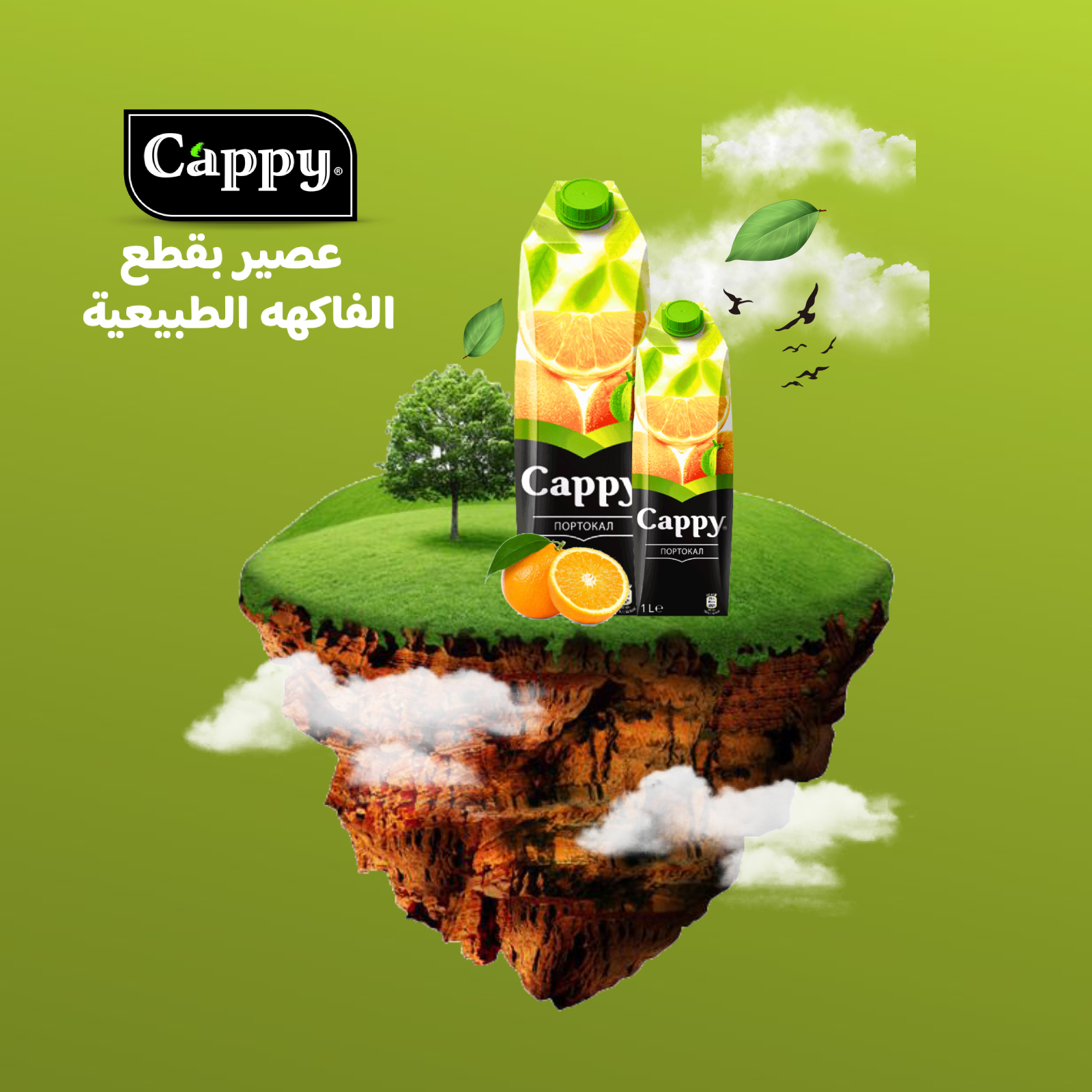 تصميم اعلان عصير للعضو المدلل