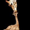 158201251771824.png